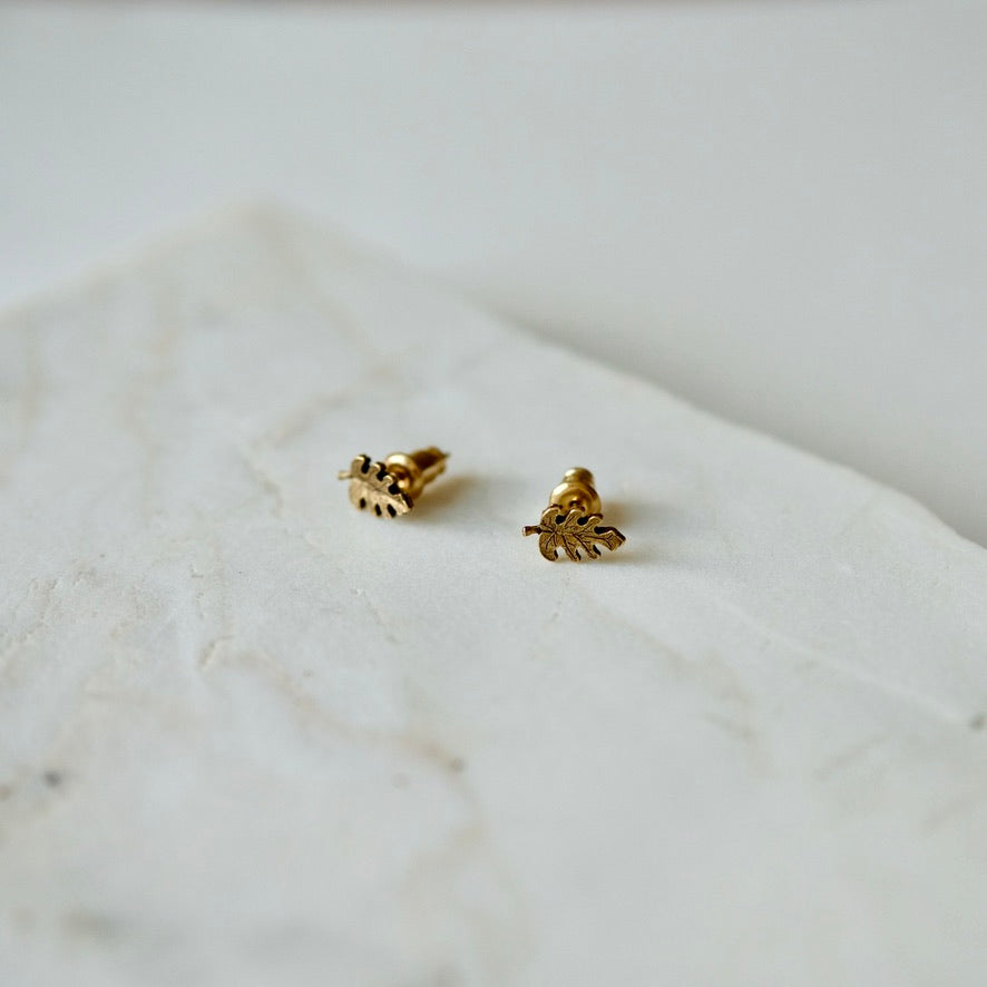 palm stud